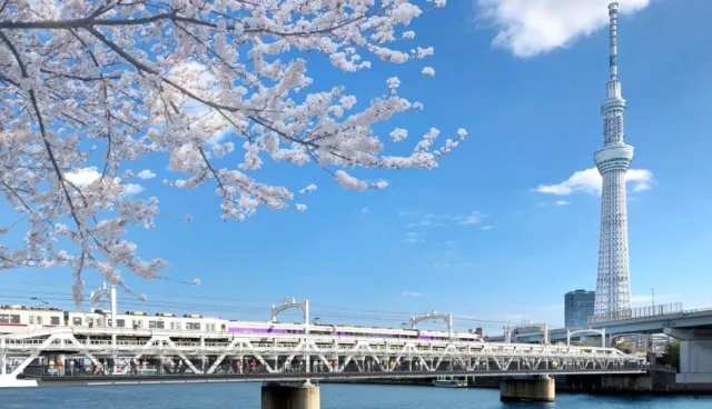 淺草—東京晴空塔最速捷徑「SUMIDA RIVER WALK」開幕直擊！複合設施「東京MIZUMACHI」名店雲集 的縮圖