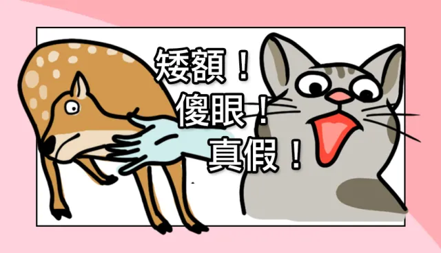 日本人也愛講「傻眼」？學會8句日文口頭禪，聊天立刻上手！