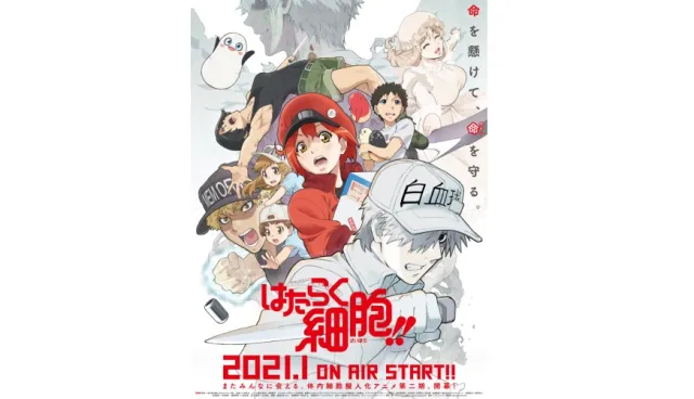 人氣動畫《工作細胞》2021年1月開播第二季！細胞們再次為你的健康而戰