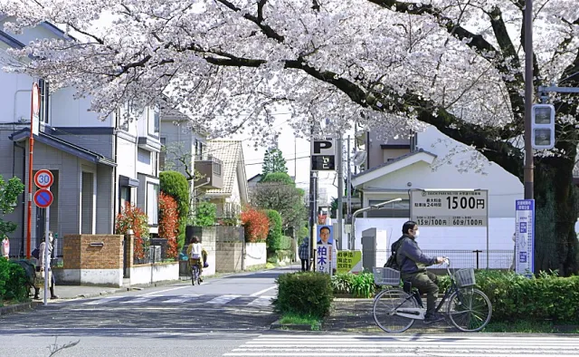 東京生活28天行程表公開！不當觀光客，體驗在地生活的旅行提案