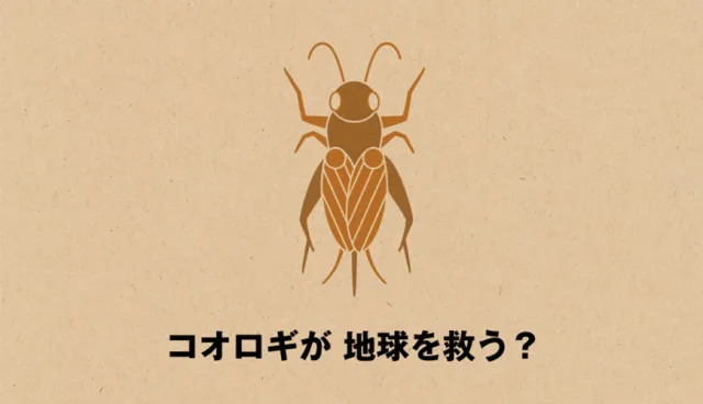 為了救地球開始吃昆蟲！日本無印良品「蟋蟀仙貝」試吃心得出爐！吃起來到底什麼口感？