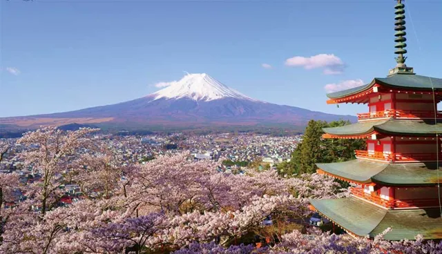 明年再來！2020年夏季富士山全部登山道禁止開放