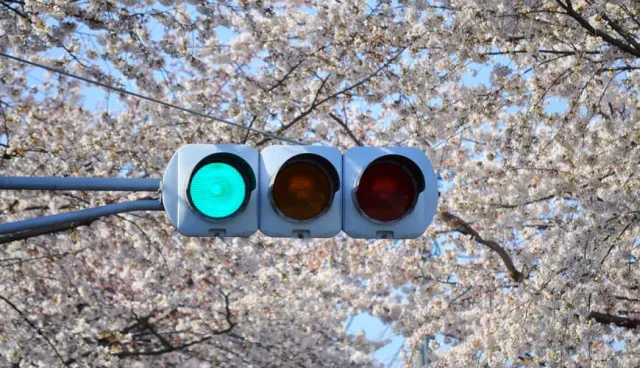 為什麼日本的綠燈是「藍色」？關於「青信號」的日本人色彩心理學！