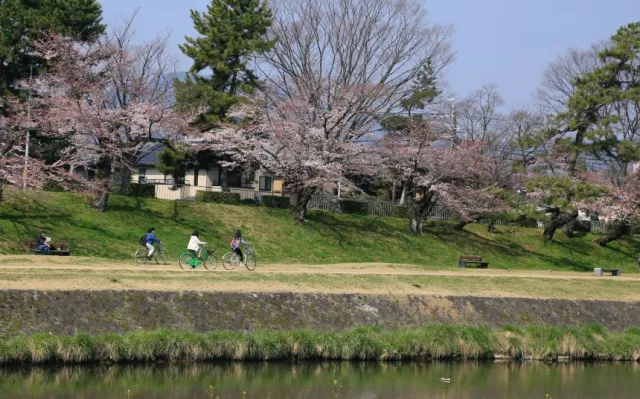 京都早上8點去哪玩？在地人最愛去的公園、清晨澡堂一次推薦！ 