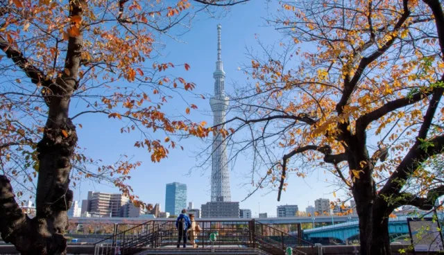 過譽了！東京「最讓人失望景點」前10名公開，榜首竟是它！ 的縮圖