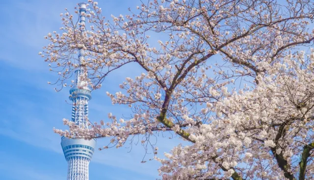 日本2021春恢復「入境旅遊」？傳日本政府僅開放特定對象先實施！