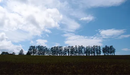 美瑛拼布之路，田園慢活的丘陵風景