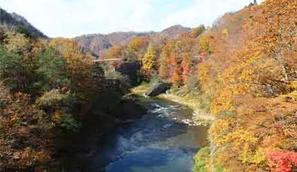 紅葉與初雪輝映，北海道道央之秋魅力滿載